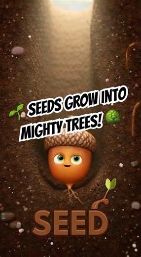Brain Game for Kids: 🌱 Seeds GROW Into Mighty Trees! 🌳 | Mind Garden Kids