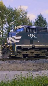 4530, 4702, 4800, and 7532 NS Locomotives