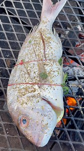 764K views · 174 reactions | Snapper Saturday! Whole fish cooked over...
