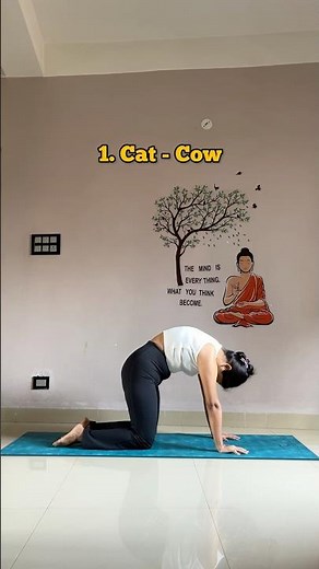 11 everyday yoga asana🧘🏻‍♀️ #yoga #yogapractice #yogapose #shortsfeed #shorts #youtube