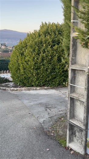 Marre de la pige et du porte-à-porte ? Voici comment des agents comme vous génèrent 2 ventes de plus chaque mois, grâce à une méthode simple, digitale, et 100 % duplicable. Aujourd’hui, les meilleurs agents ne perdent plus leur temps à frapper aux portes. Ils ont compris que le secret n’est pas de faire plus d’efforts, mais d’utiliser une méthode qui attire automatiquement les bons vendeurs et acheteurs. Cette méthode leur permet de : ✅ Obtenir des rendez-vous qualifiés chaque semaine sans prosp