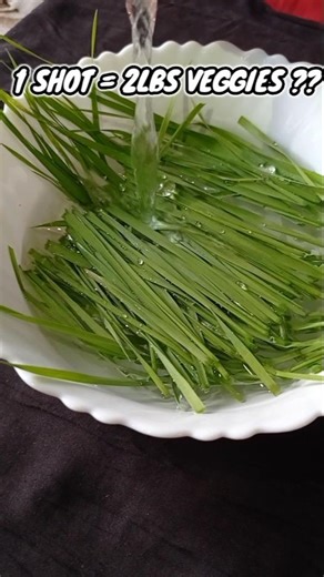 wheat grass juice recipe | healthy juice recipe #shorts #wheatgrass