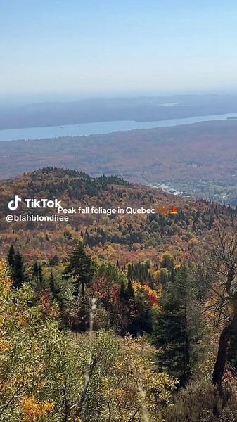 Quebec showing off 🍁 Nothing beats peak fall foliage at Mont Orford — every turn looks like a painting. #QuebecFall #MontOrford #FallFoliage #AutumnVibes #CanadaNature