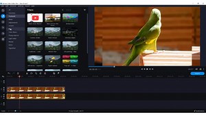 Movavi Video Editor: How to Crop in Movavi Video Editor