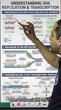 Molecular Basis of Inheritance in 3 Minutes 🧬 | Class 12 Biology Revision #biology #neet