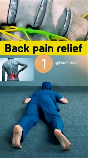Do this before bed for pain-free mornings👈ll #shorts #youtubeshorts #backpain #relief #exercise