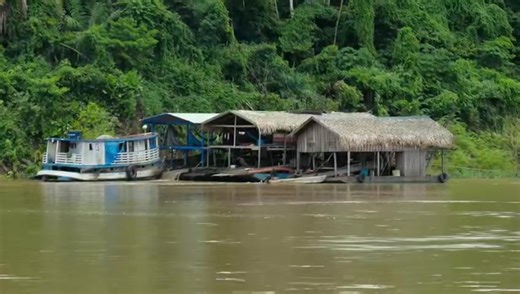 35 reactions · 18 shares | Meet the Amazon defenders on the frontlines against deforestation | Our Planet Earth Protecting our planet’s climate is no mean feat, but for Indigenous communities, it is a fight for survival.  This is #OurPlanetEarth  https://www.bbcearth.com/our-planet-earth A BBC Studios Natural History Unit co-production with Wellcome. | Amazon Watch | Facebook