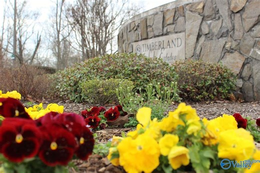 3729-Timberlake-Court-Decatur-AL-35603-429264817