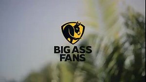 With precision engineering the Haiku ceiling fan ensures quality that stands the test of time, crafted for year round comfort. | Big Ass Fans | Facebook