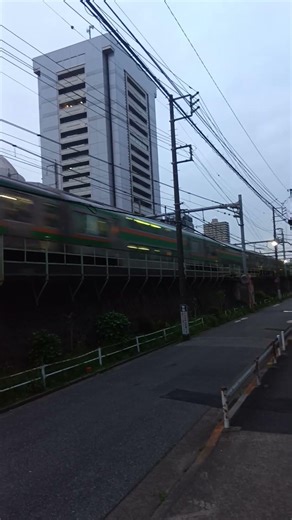 湘南新宿ライン高崎線直通普通籠原行き王子駅付近を低速通過(e233系3000番台コツE-73+e231系1000番台コツK-29編成充当)