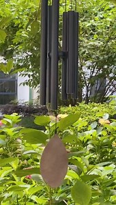 Watch Musical Wind Chimes Outdoor on Amazon Live