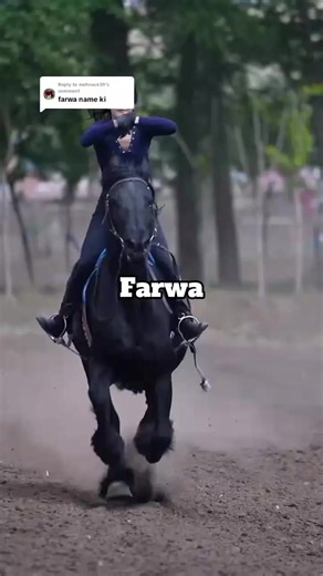 Exploring the Passion of Horse Riding