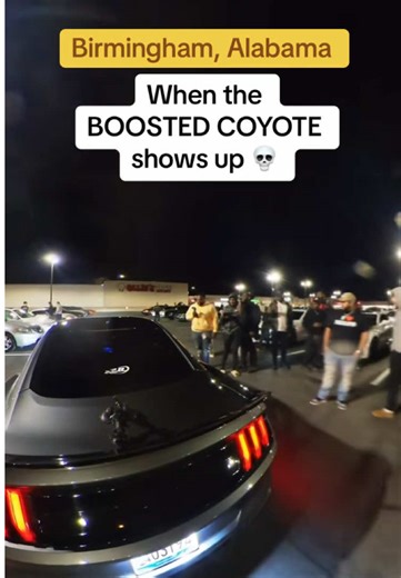 Mustang Car Meet in Birmingham: A Coyote Supercharger Event