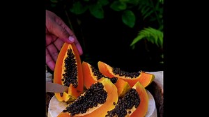 Satisfying Cleaning And Slicing A Ripe Papaya