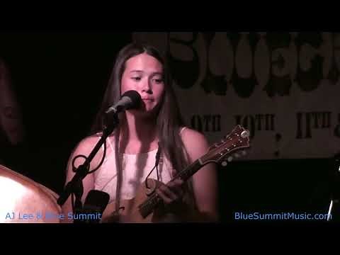 AJ Lee & Blue Summit: That's How I Got To Memphis written by Tom T. Hall