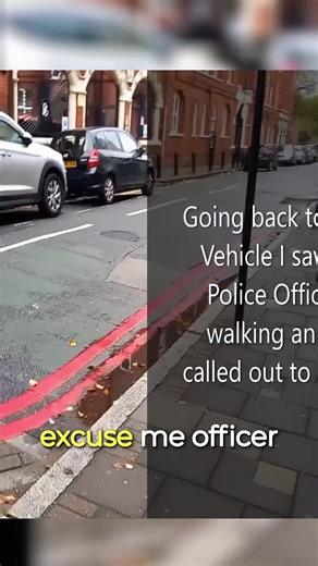 Police Audit Insights