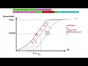 vidéo 2 sur le chapitre M3C4 enzymes allostériques : les propriétés générales (début)