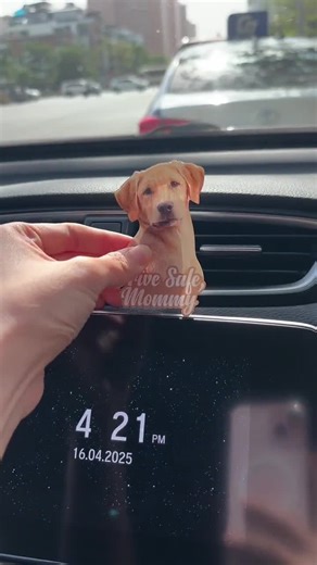 Personalized Football Car Visor Clip, Sun Visor Decoration, Visor Clip Drive Safe, Football Visor Clip, Xmas Gift, Gift for Football Player - Etsy