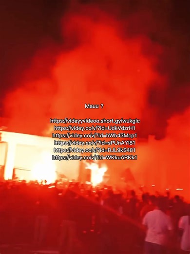 Gudang Videy: Asupan Unik di Saluran WA