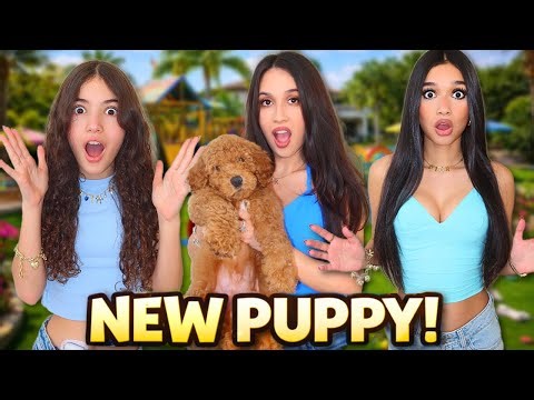 we got a NEW puppy!🥹🐶*emotional*