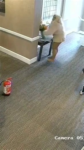 Two 19-year-old girls launched a drunken daytime rampage at Bournemouth’s Trouville Hotel,Spitting twice in a receptionist’s face, smashing a computer screen and phone into a male worker’s head, hurling vases, tipping furniture and launching a fire extinguisher.Kera McKeown and Larisa Sumovskaja weren’t even guests. Told to leave at 11:20am, they went berserk with high heels and a vodka bottle while staff hid in terror.CCTV captured the full chaos; damage topped £4,000.Both now banned from every