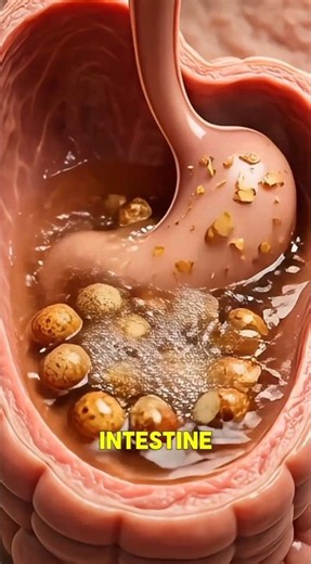 3d animation of tiger nut processing steps