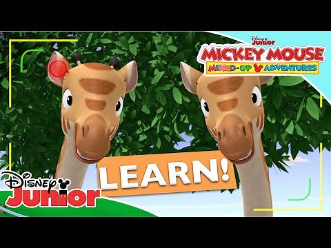 🐼 Learning Safari Animals | Mickey Mouse Mixed-Up Adventures | Disney Kids