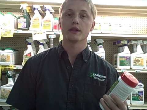 How to Keep Cats Away and How to Keep Cats out of the Garden