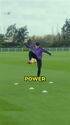 Players & Ball Machine