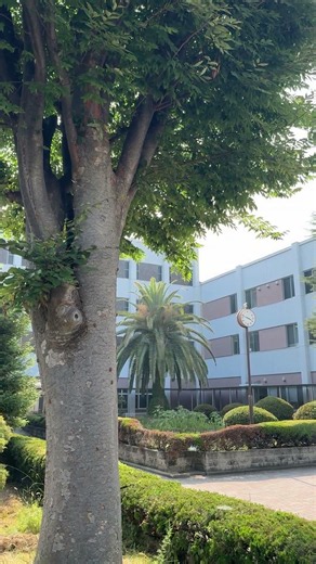 See Kobe U - 夏の音 / The sound of summer