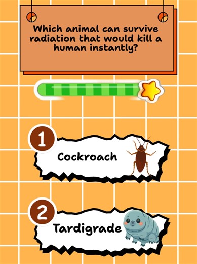 Which animal can survive radiation that would kill a human instantly? #quizrecess #quizchallenge #animalquiz #questionoftheday #dailyquiz