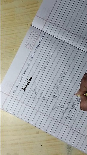 "ART MEETS SCIENCE! Amoeba Drawing Tutorial with Step-by-Step Guide "