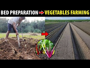 Bed Preparation for Planting Vegetables | Small Space Gardening