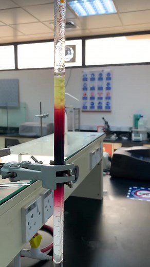 Column chromatography 👩🏻‍🔬🥼♡︎⚗️ #chemistry #chemistrylab #chemistrylover #fyp #iau