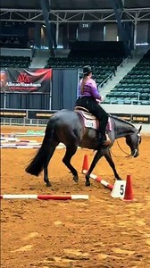 This is how trail feels 🤣😅#Aqha #trail #trailriding