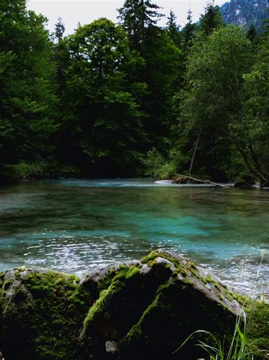 The Importance of Conservation in National Parks