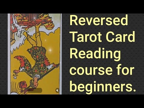 The Fool Reversed😱 | #tarotmeaning #tarot #divination #tarotguidenina #tarotreading