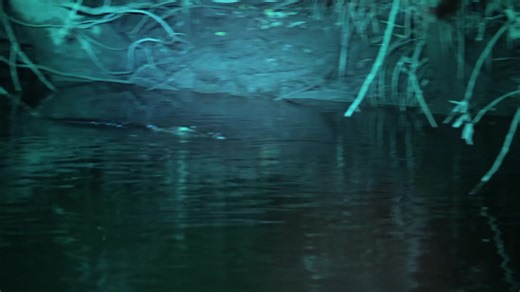 113K views · 1.4K reactions | This is so incredibly special, if...