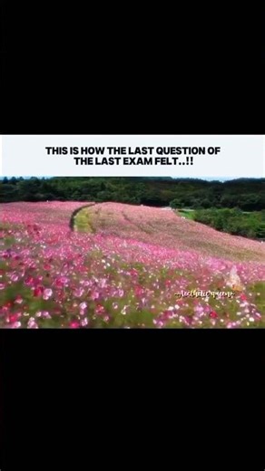 The last question💗✨‪@Aestheticqueen_14‬ #aesthetic#youtubeshorts#relatable#fyp#100k#edit