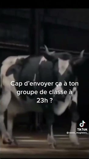 Alors Cap ou Pas Cap