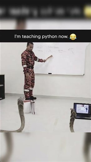 python be like:sir can I ask you a question ❓#python #teaching #fyp