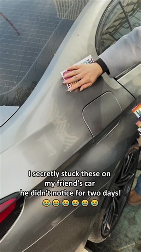 Funny Car Stickers for Every Occasion