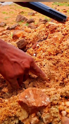 Treasure Hunting Tamil | Metal Detector Adventure in Village Area #shorts #trending #metaldetecting