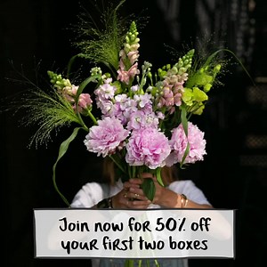 Join today and get 50% off your first two boxes (saving £25). Brighten your home with a regular delivery of fresh, long lasting flowers! 50% off limited offer, promo code STEM154 (discount applied automatically at checkout)🌼 | Freddie's Flowers