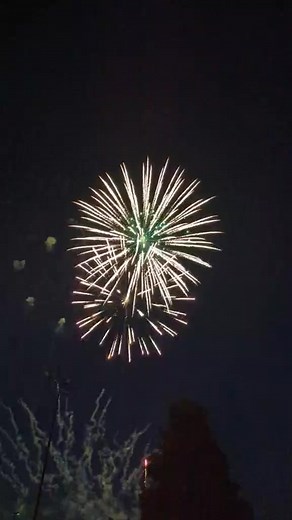 2.3K views · 24 reactions | Happy 4th of July! From Fort Bliss, Home of America's Tank Division. | 1st Armored Division | Facebook