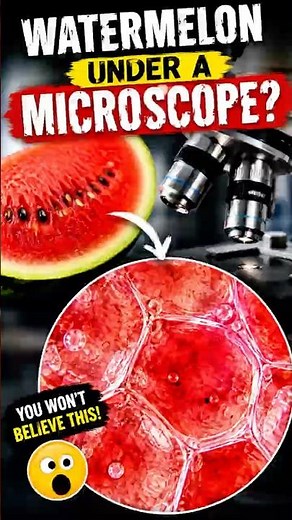 I PUT WATERMELON UNDER A MICROSCOPE! (SHOCKING)😲