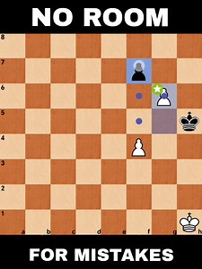 30K views · 260 reactions | No Room For Slight Errors This endgame will give you a good lesson. Until the last drop, you need to be precised. | Chesscology | Facebook