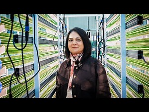 How does the new algae farm help boost circular bioeconomy?