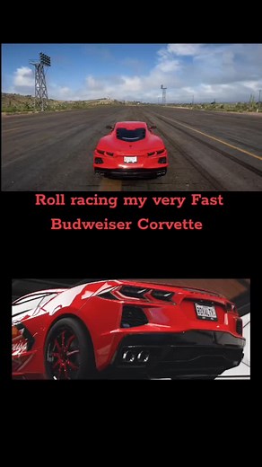 Very fast Budweiser Chevrolet Corvette! Roll racing and drag racing #foryoupage #fyp #forza #forzahorizon #rollracing #corvette #xbox | James ForzaGuru Crawford