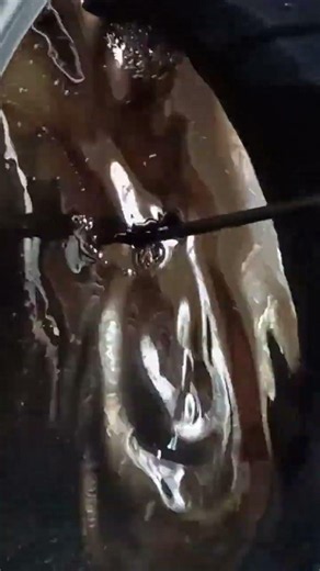 5000km oil change on a 2026 S1000RR #bikelover #biker #bikelife #maintenance